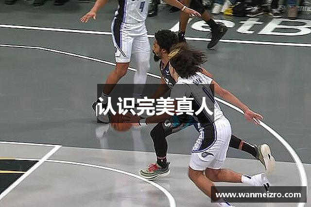 认识完美真人